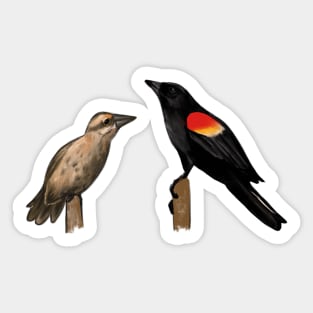 Red-winged Blackbird Sticker